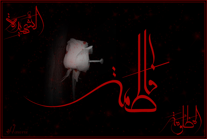 تعزية خاصة بشهادة السيدة فاطمة الزهراء