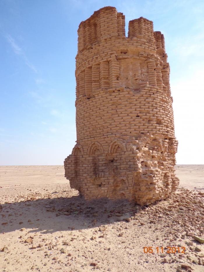 صورة إضافية