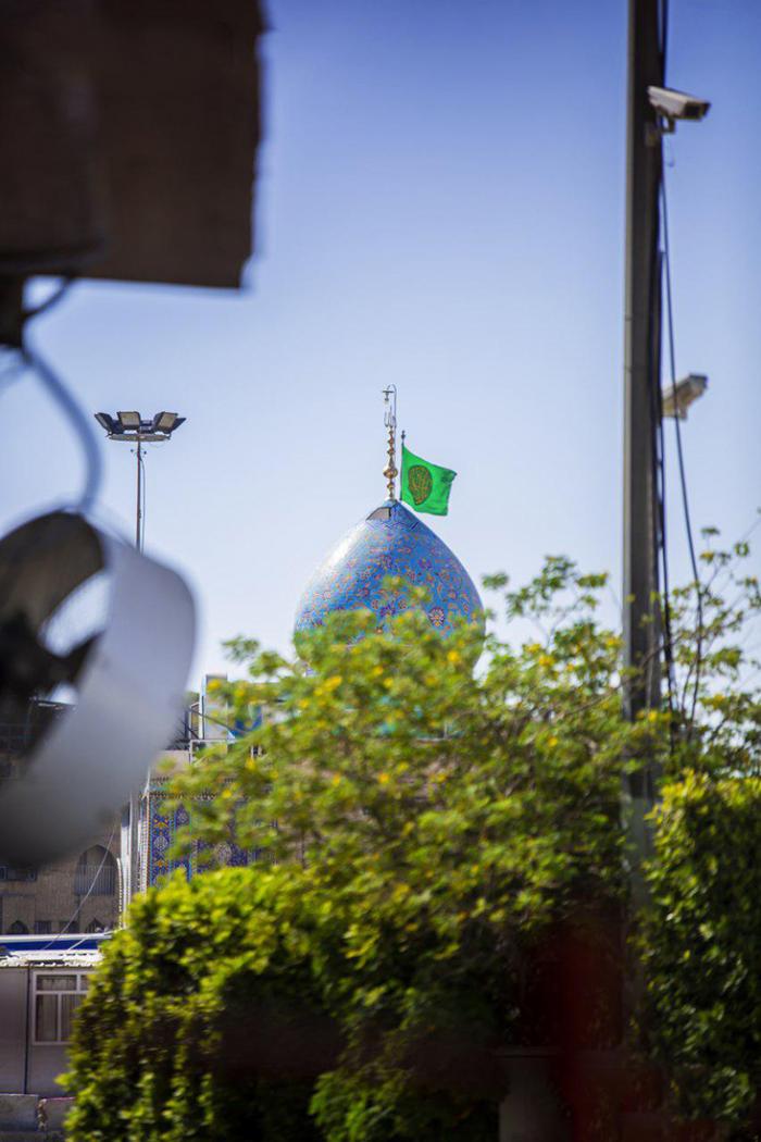 صورة إضافية