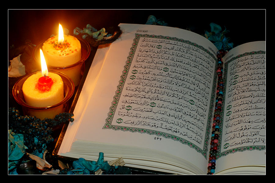 إضاءات في تزكية النفس (التذكير بغايته تعالى من خلق الانسان)