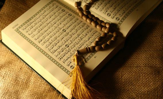 اضاءات في تزكية النفس (على كل نعمة ضريبة ولكل فقدان تخفيف)