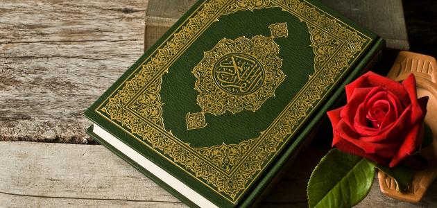اضاءات في تزكية النفس (امتحان الانسان في هذه الحياة في مستويين)