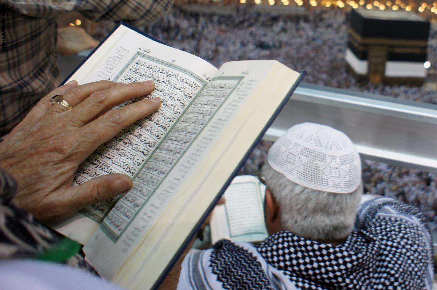 اضاءات في تزكية النفس (المناشئ العلمية في الإدراكات الإنسانية)