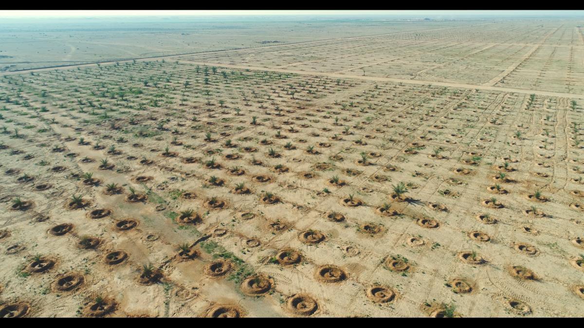 The role of - Alexander the Great - in the establishment of Karbala's irrigation projects