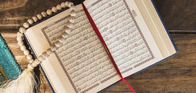 اضاءات في تزكية النفس (نمو الأحاسيس الكاذبة)