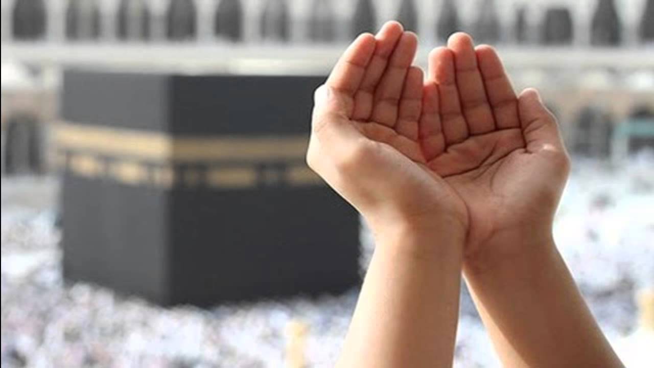 اضاءات في تزكية النفس (الظن المتقدم ربما يؤسس منهج تربوي للإنسان)