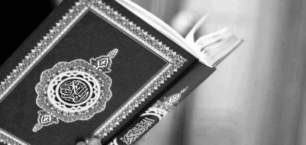 اضاءات في تزكية النفس (تأثير الشهوات على الاهتمامات النفسية)