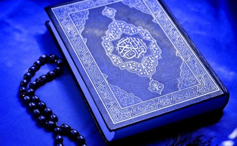 اضاءات في تزكية النفس (من المشاعر الفطرية ما يهدي الى الله سبحانه والدار الآخرة)
