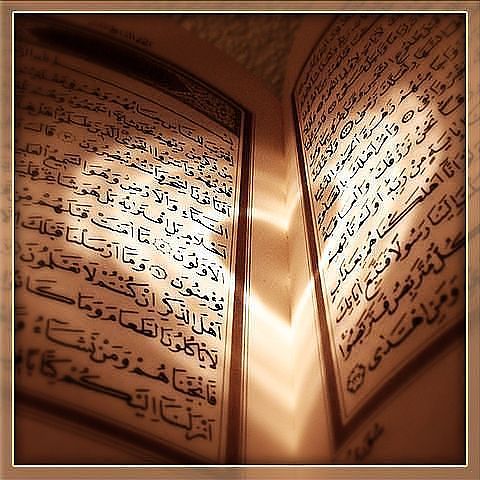 اضاءات في تزكية النفس ( المشاعر الانسانية العاطفية )