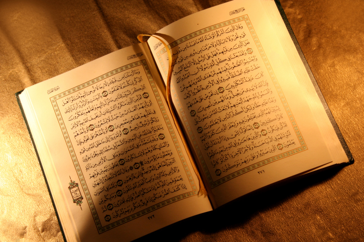 صورة إضافية