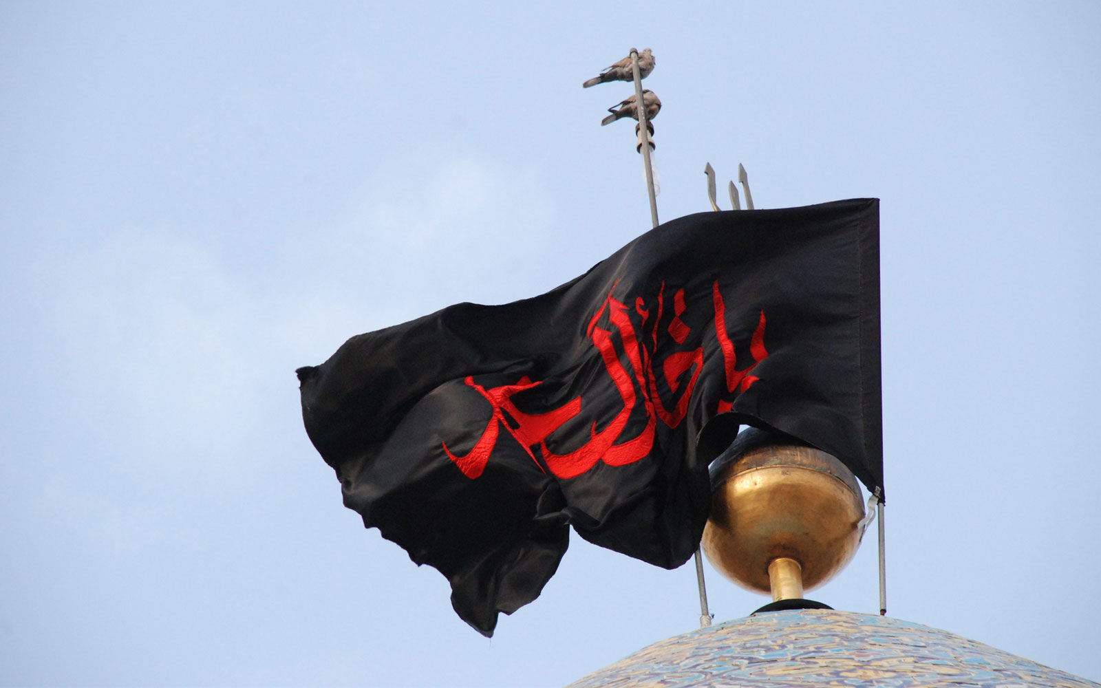 صورة إضافية