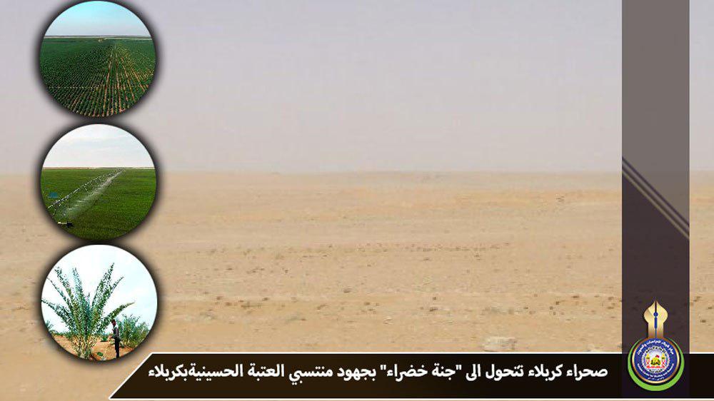 بالصور... صحراء كربلاء تتحول الى جنة خضراء بجهود منتسبي العتبة الحسينية
