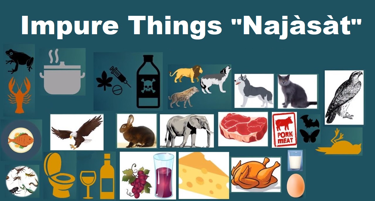 Impure Things (Najàsàt) from the point view of Ayatollah Al-Sistani -Part I-