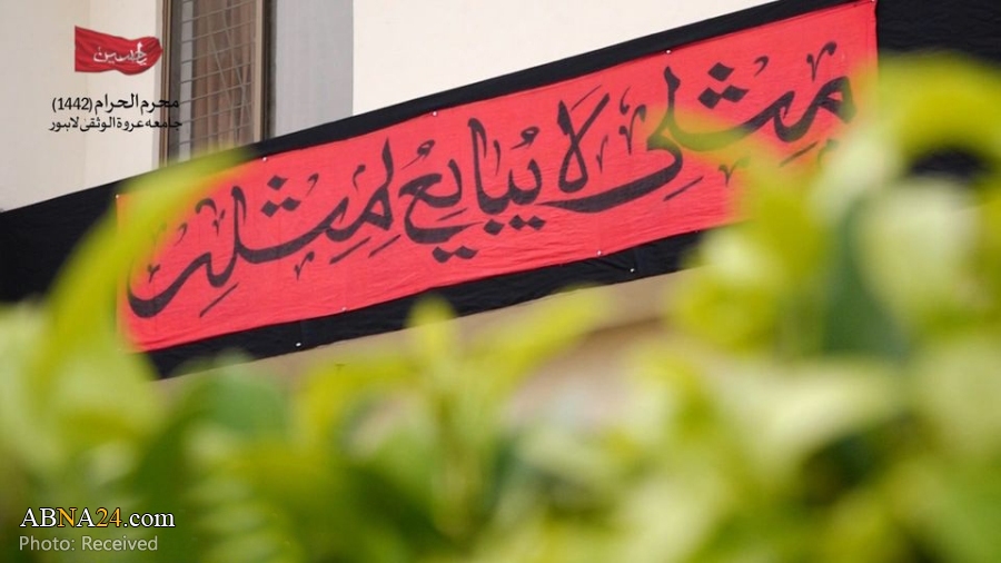 صورة إضافية