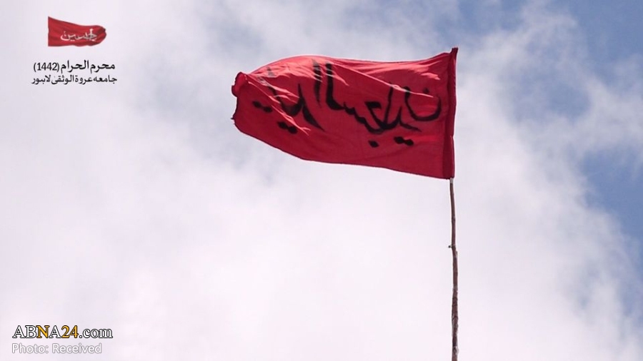 صورة إضافية