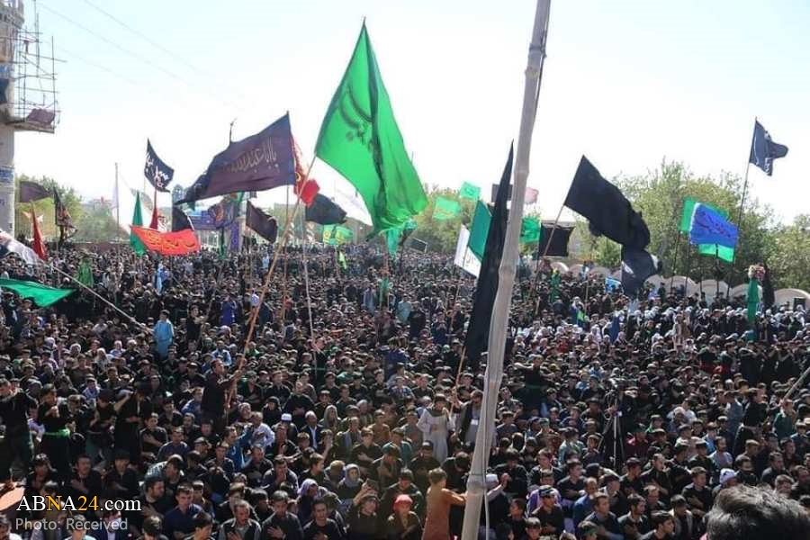 صورة إضافية