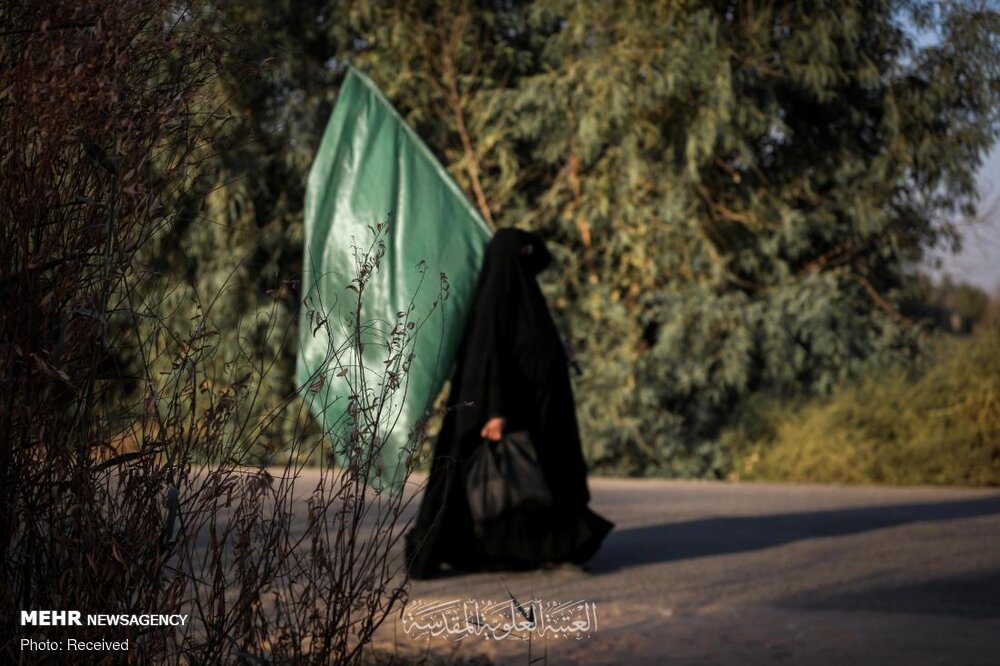 صورة إضافية