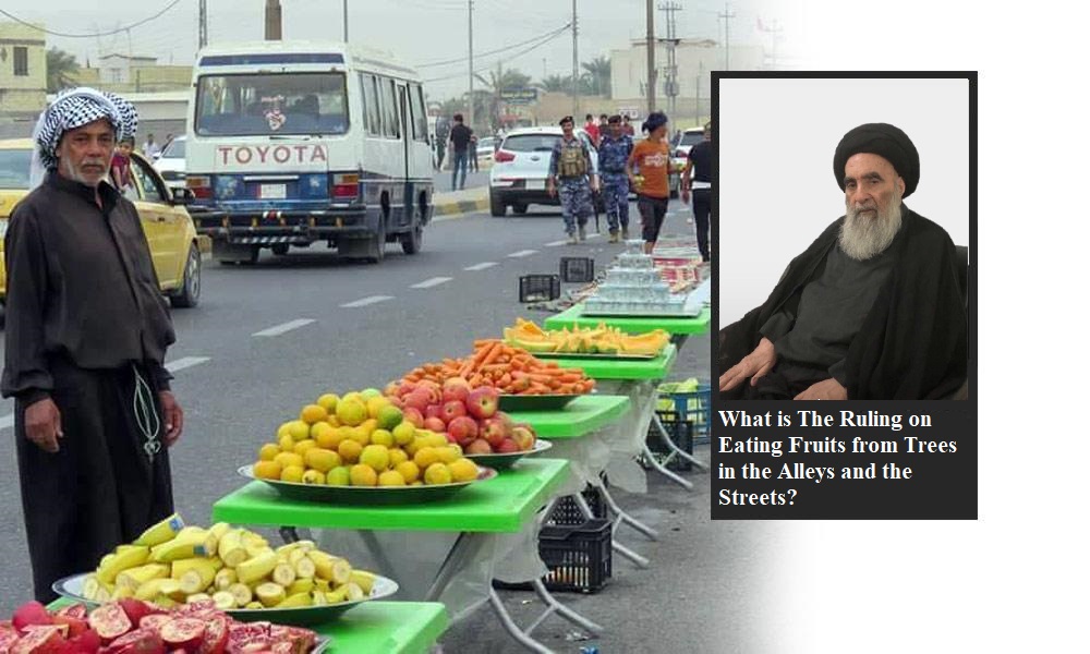 What is The Ruling on Eating Fruits from Trees in the Alleys and the Streets?