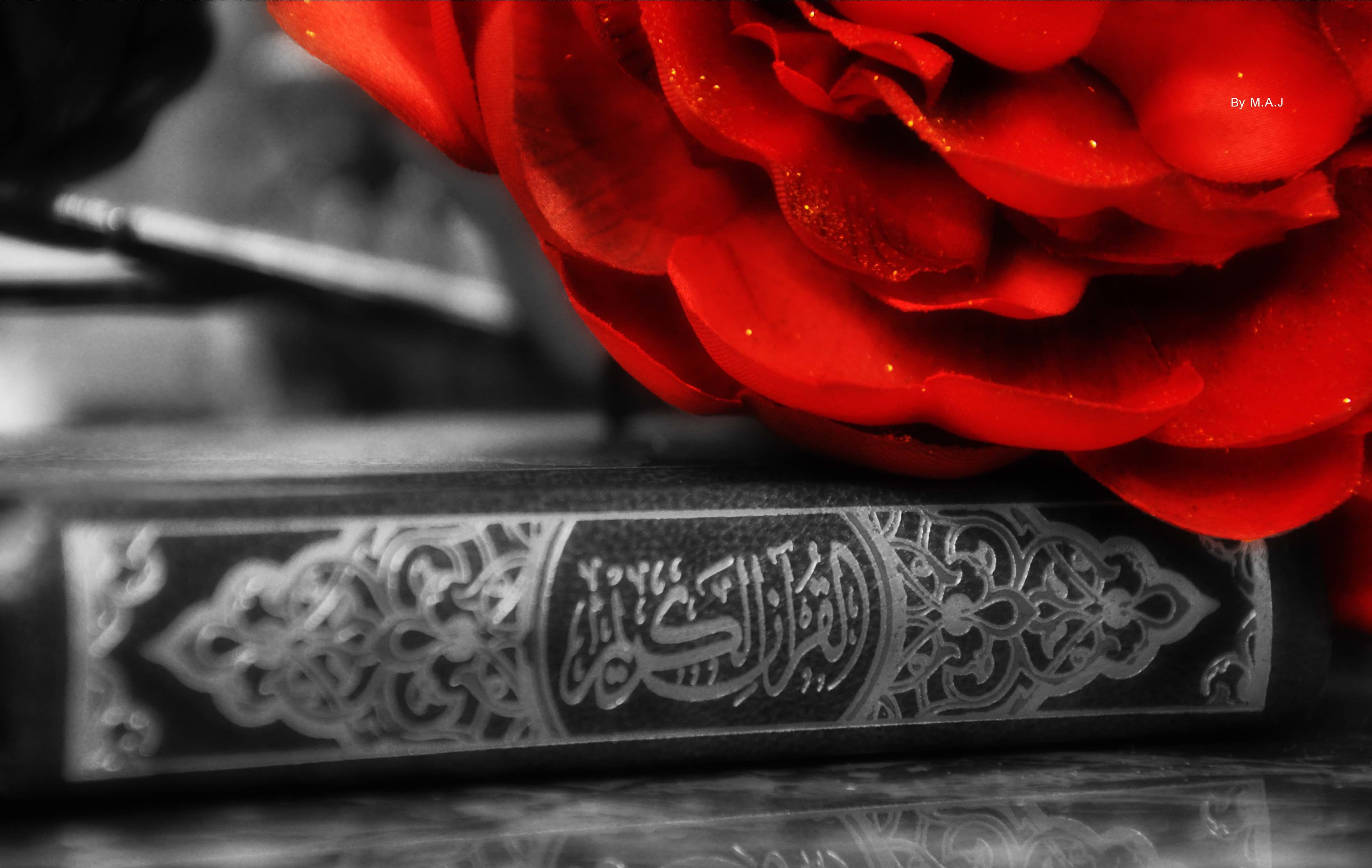 Islam as the School of Unity