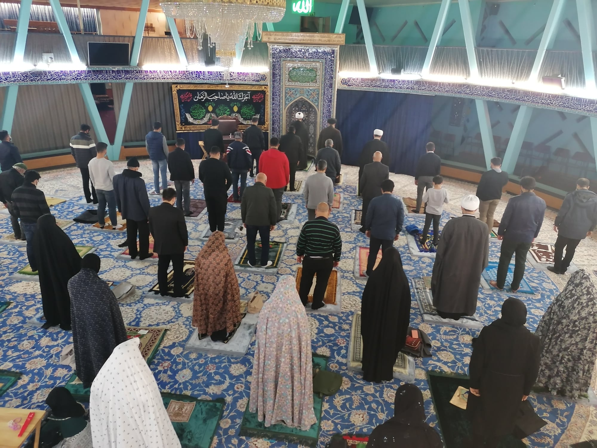 صورة إضافية