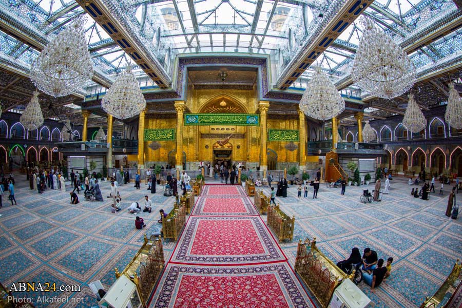 صورة إضافية