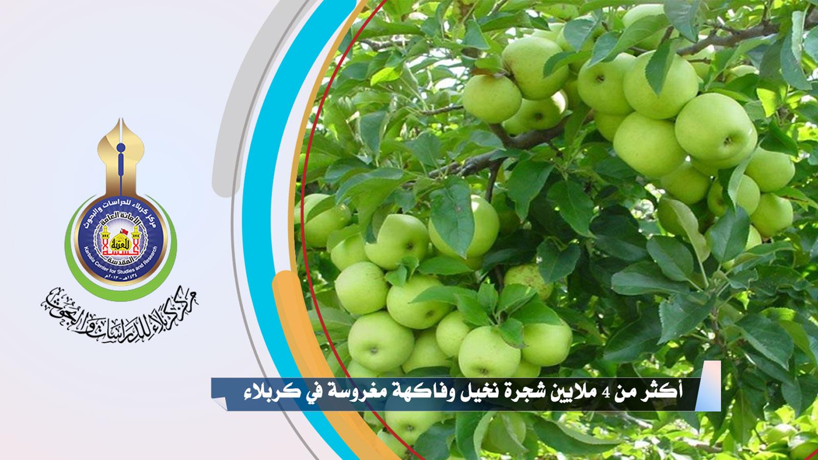 أكثر من 4 ملايين شجرة نخيل وفاكهة مغروسة في كربلاء