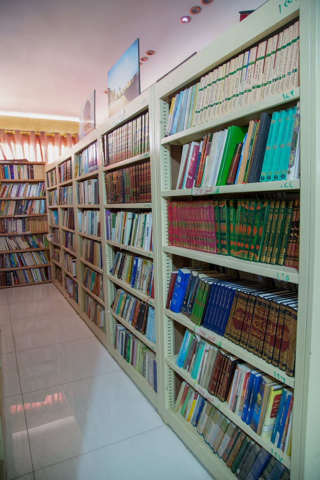 صورة إضافية