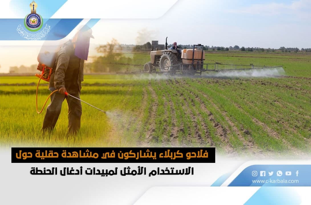 فلاحو كربلاء يشاركون في مشاهدة حقلية حول الاستخدام الأمثل لمبيدات أدغال الحنطة