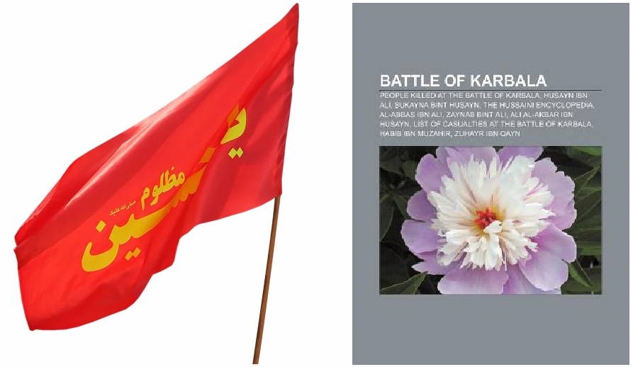 Books about Karbala... 'Battle of Karbala: People Killed at the Battle of Karbala, Husayn Ibn Ali, Sukayna Bint Husayn, the Hussaini Encyclopedia, Al-Abbas Ibn Ali'