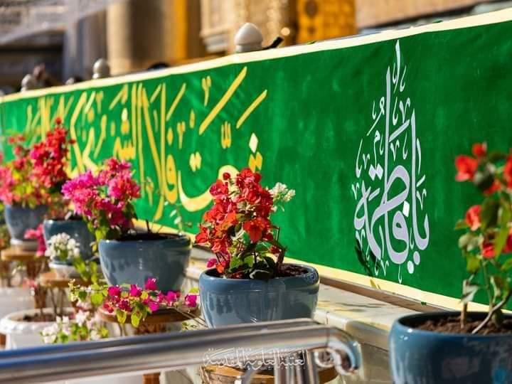 صورة إضافية