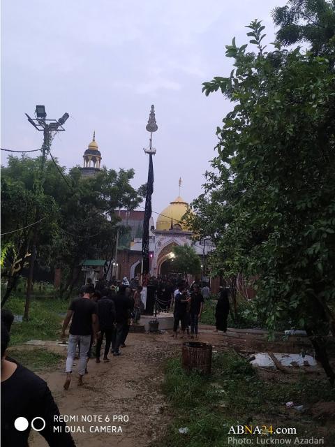 صورة إضافية
