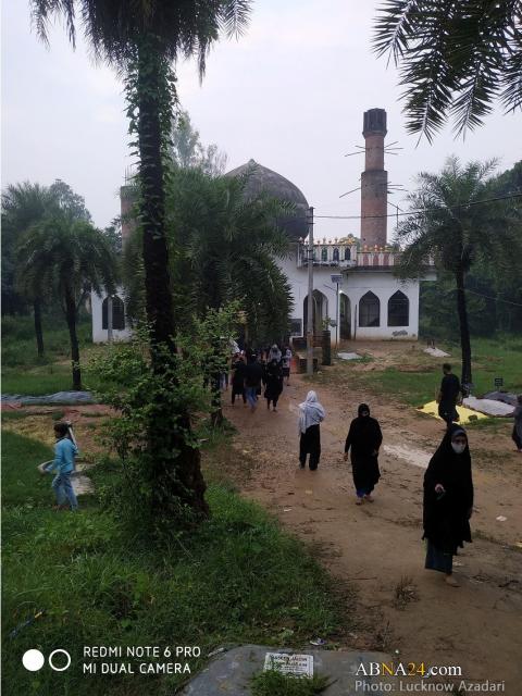 صورة إضافية