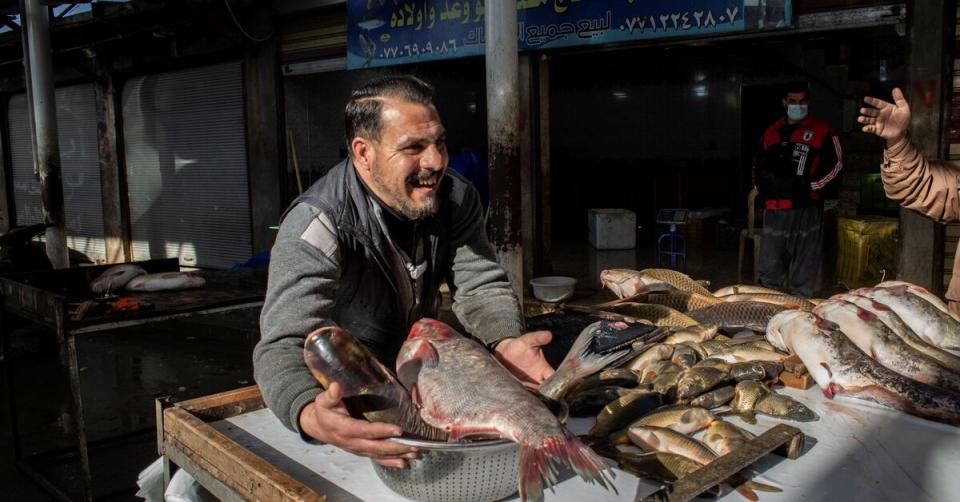Karbala governorate is a “Koi Herpesvirus” - free