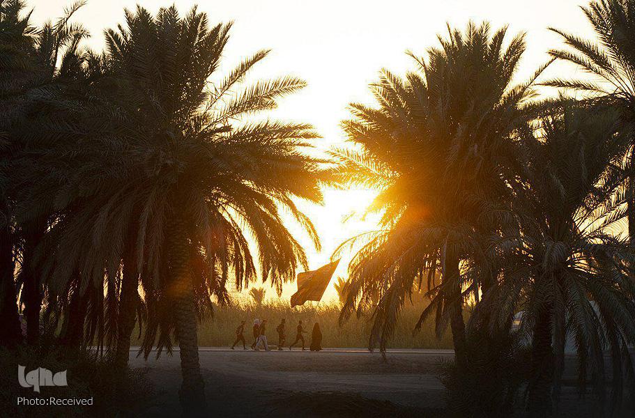 صورة إضافية