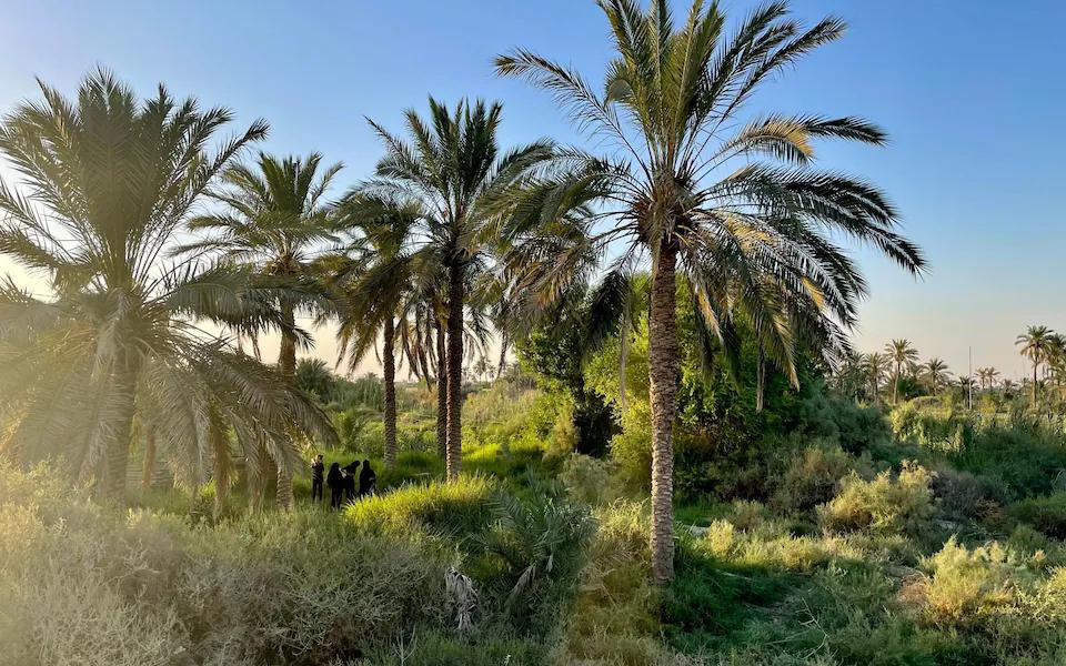 صورة إضافية