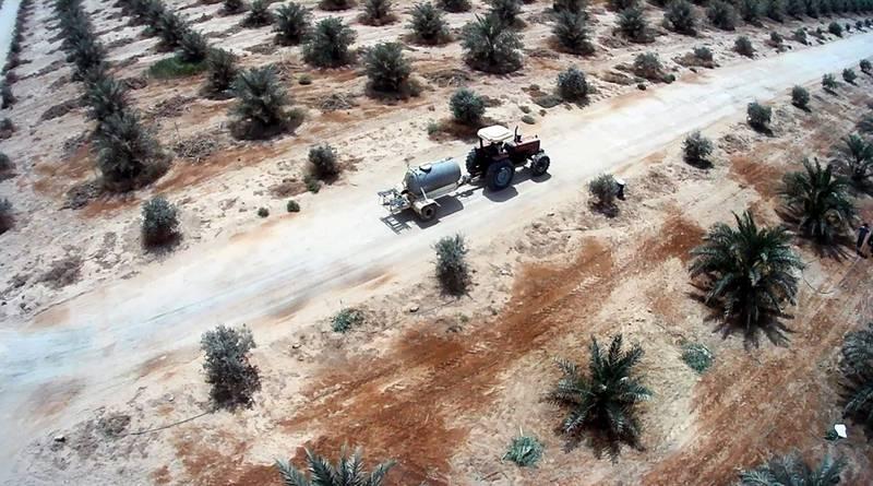 صورة إضافية