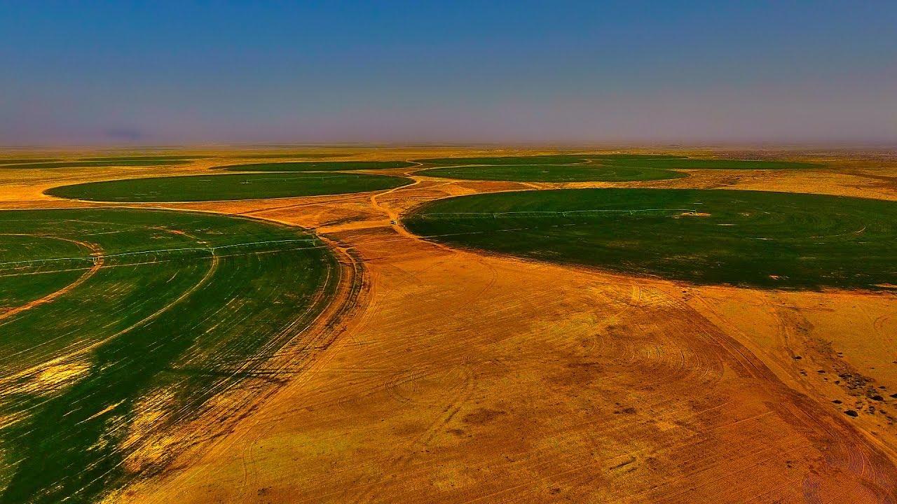 زراعة كربلاء تكشف احصائيات المساحات الموزعة لمحاصيل الخضر الصيفية في المحافظة