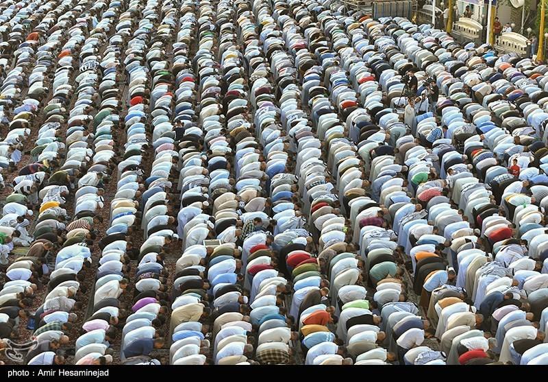 صورة إضافية