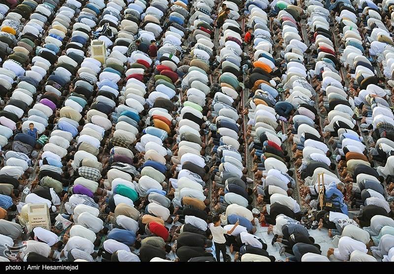 صورة إضافية