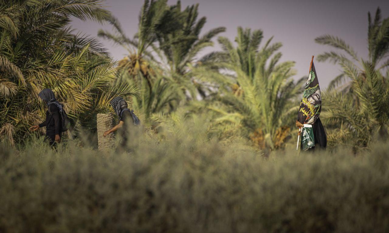 صورة إضافية