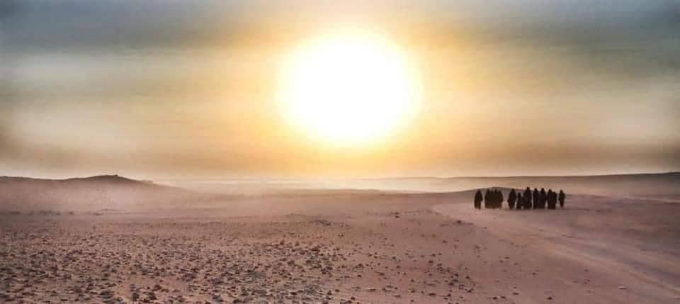 بالصور | تدفق حشود الزائرين من ناحية شبچة طريق الحج البري على الحدود السعودية إلى كربلاء المقدسة مشيًا على الأقدام