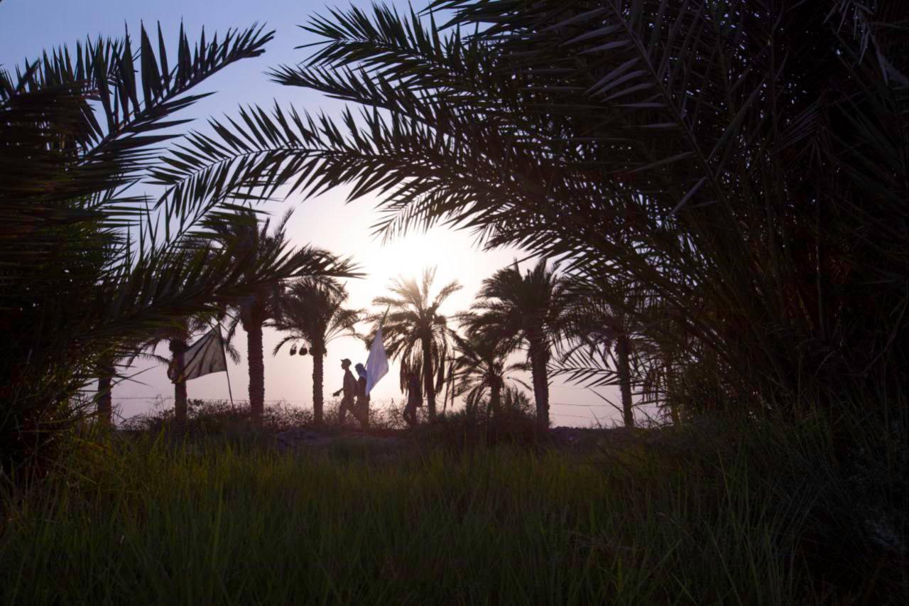 صورة إضافية