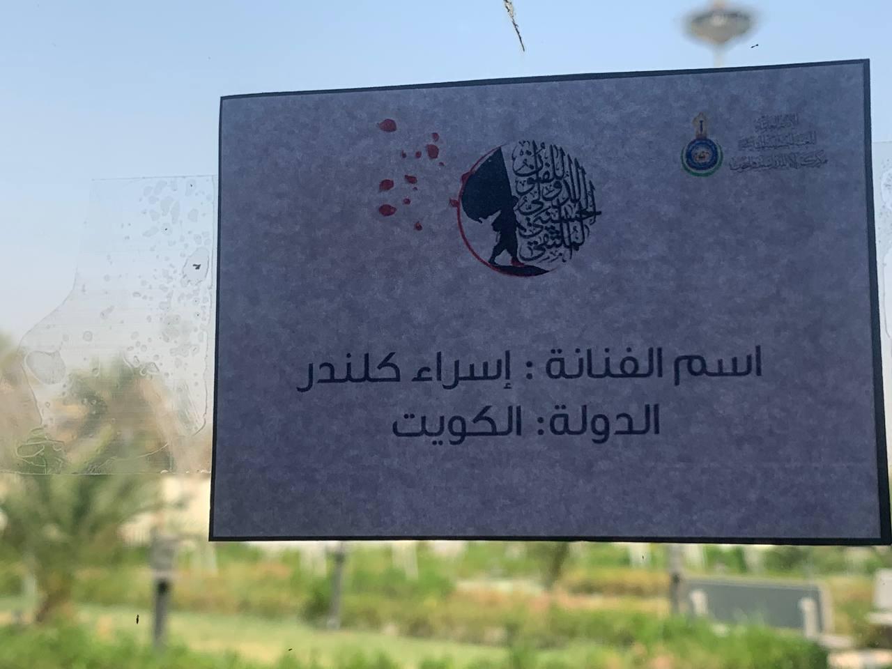 صورة إضافية