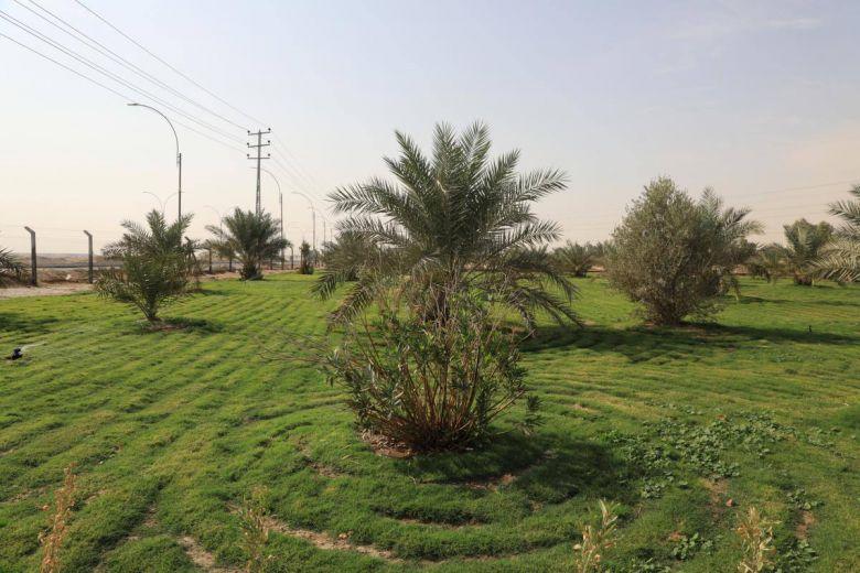 مديرية بيئة كربلاء: التغيرات المناخية أصبحت واقعا ملموسا ولا بد من مواجهة التحديات