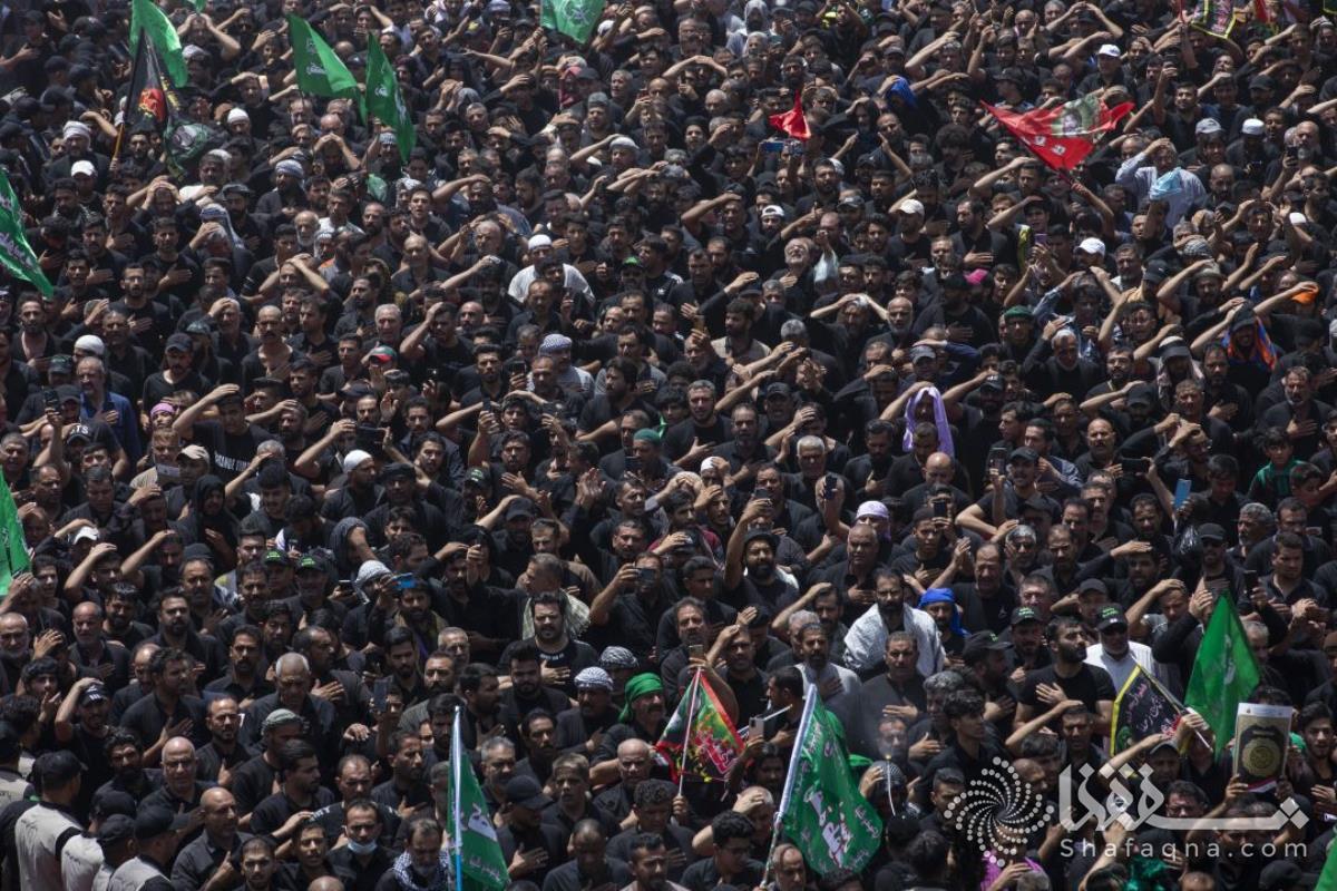 صورة إضافية