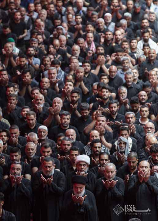 صورة إضافية