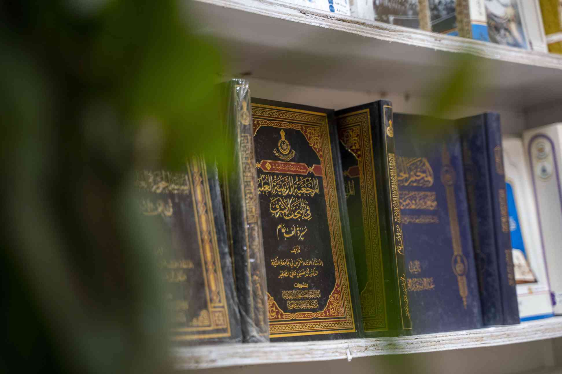 صورة إضافية