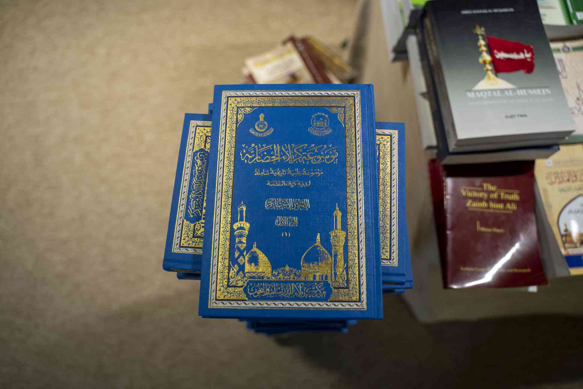 صورة إضافية