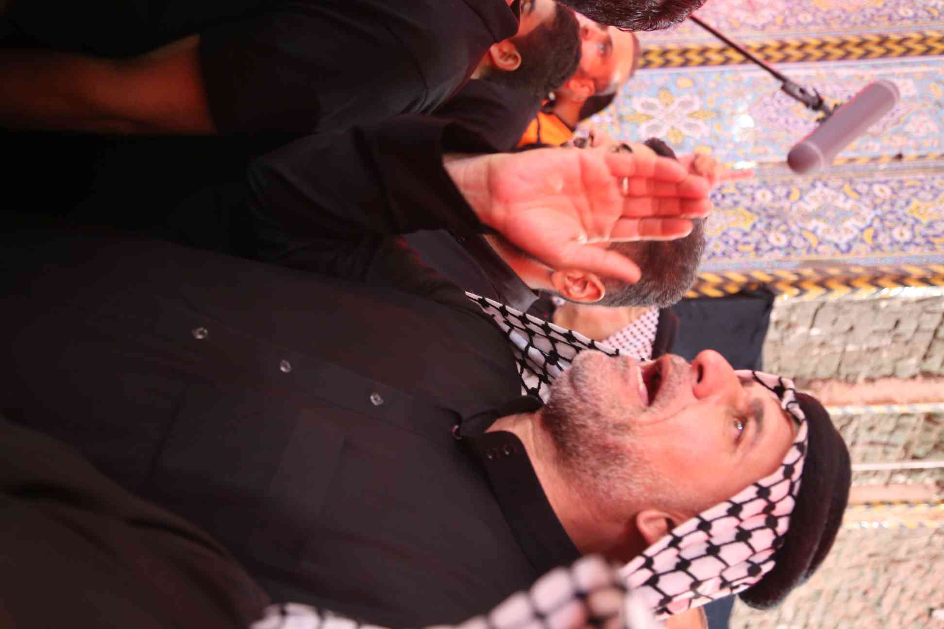 صورة إضافية