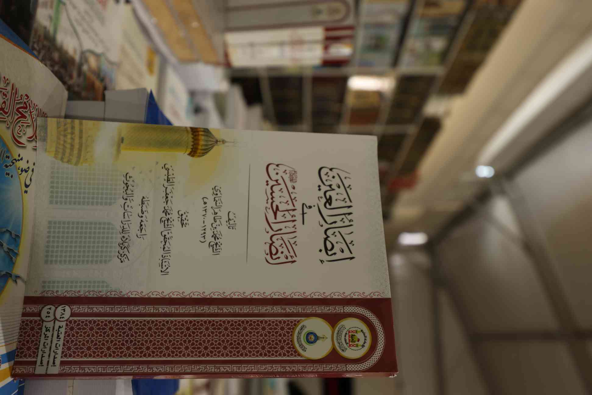 صورة إضافية